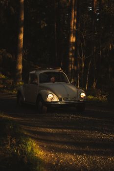 Classic Volkswagen Beetle driving on a dirt road through a forest at dusk.