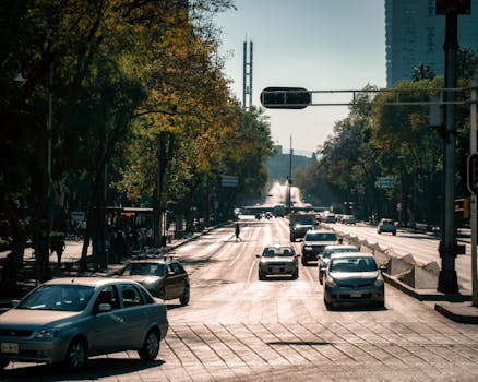 Cars and pedestrians on a busy urban street in Ciudad de México, lined with trees and buildings.