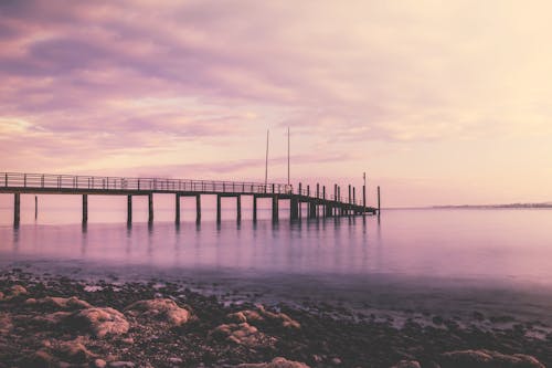 Fotobanka s bezplatnými fotkami na tému breh, dok, horizont