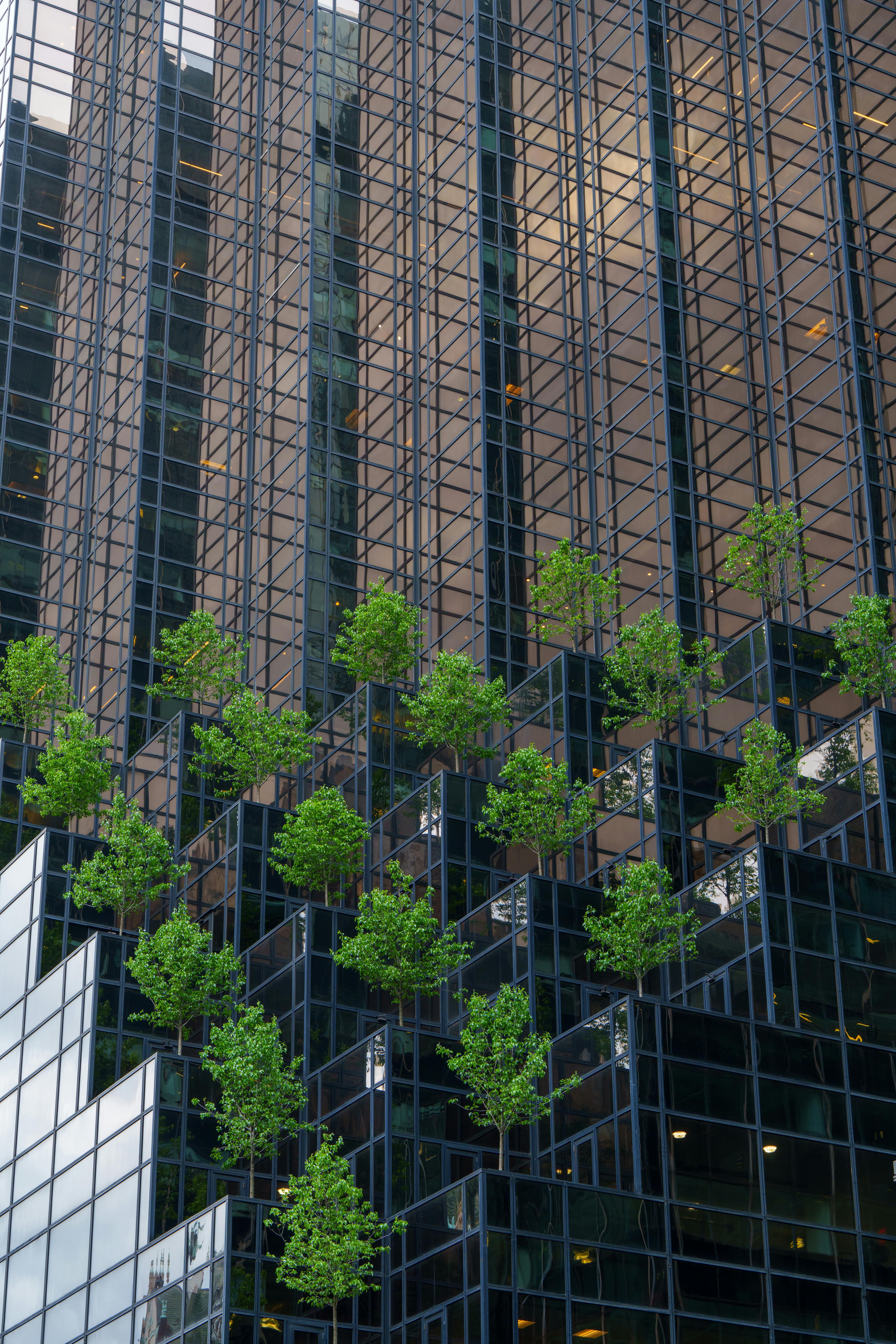 Green trees on a modern skyscraper facade in downtown New York City.
