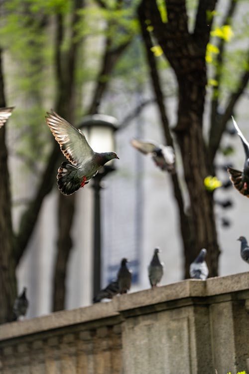 dikey atış, doğa, duvar içeren Ücretsiz stok fotoğraf