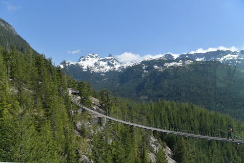 Aerial View of a Bridge between Rocky Mountains 