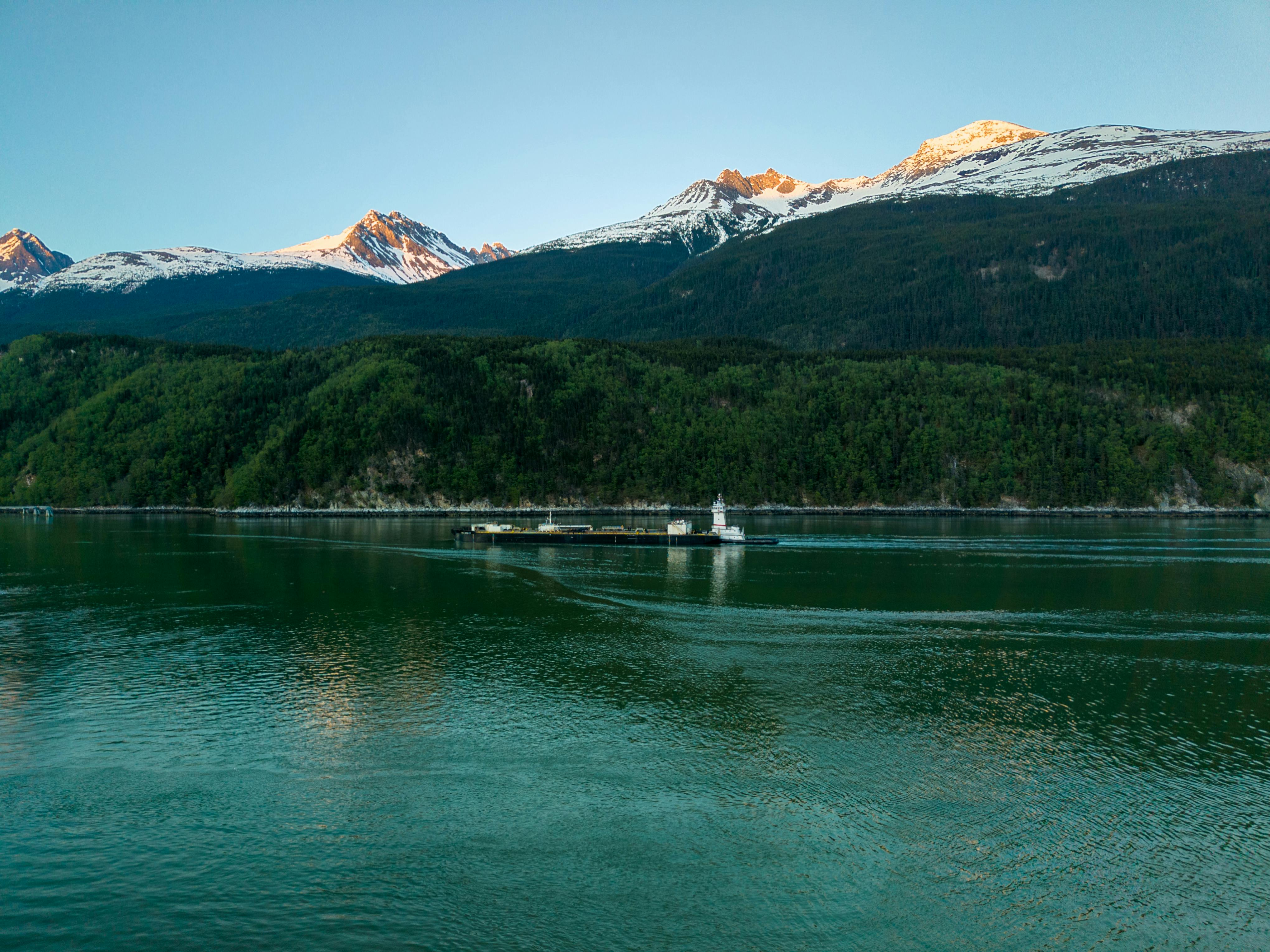 Alaska attorneys to provide free legal help on MLK Day holiday — Photo by Kim Parco on Pexels