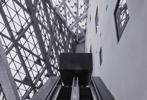Foto d'estoc gratuïta de blanc i negre, escales mecàniques, finestres