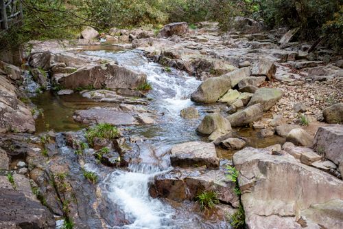 Free Serene stream flows over rocky terrain surrounded by lush greenery. Perfect for nature themes. Stock Photo