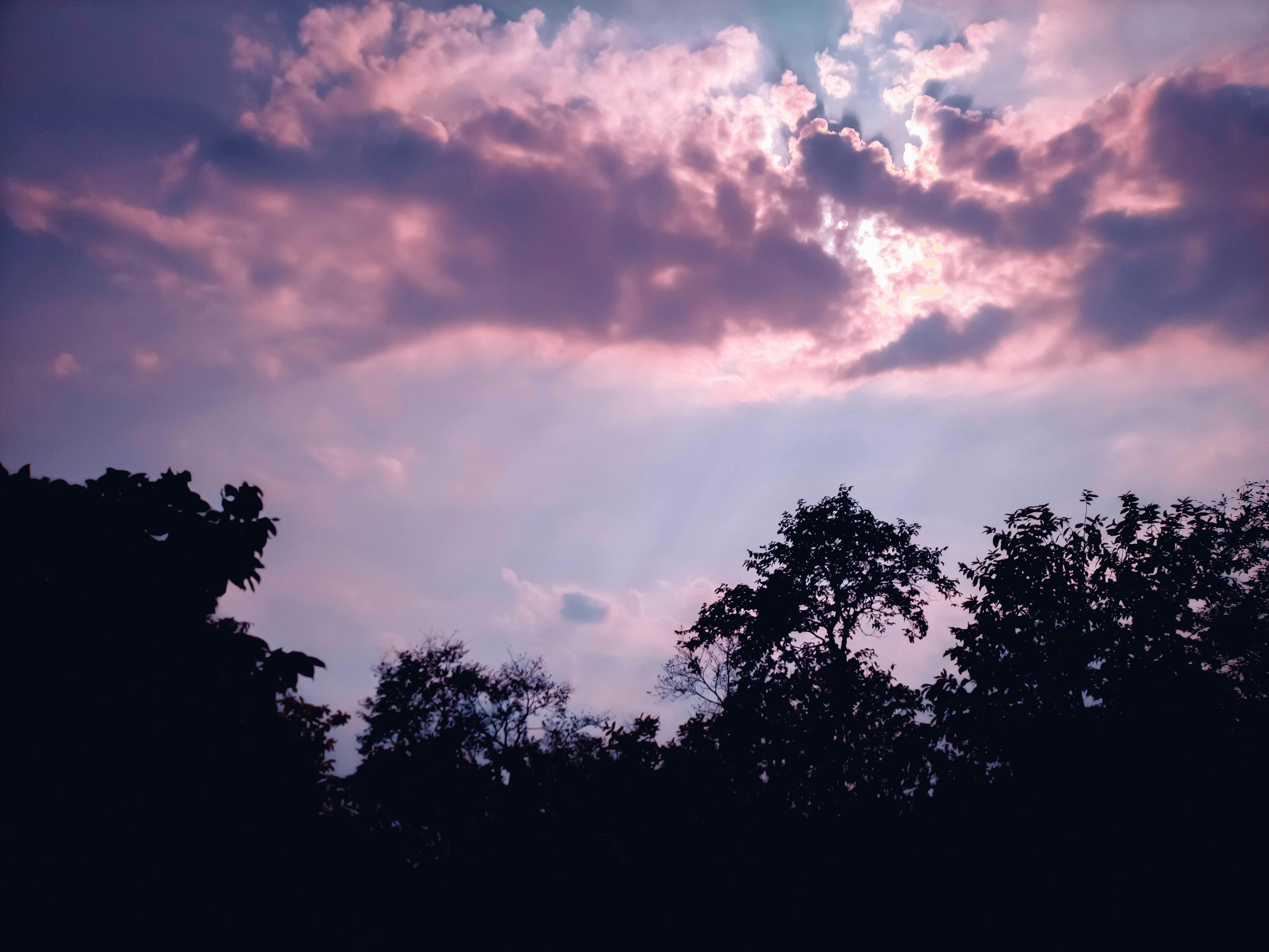 Photo Gratuite De Ciel Bleu Ciel Rose Ciel Sombre