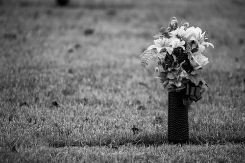 Free Jar with Flowers on Grass in Black and White Stock Photo