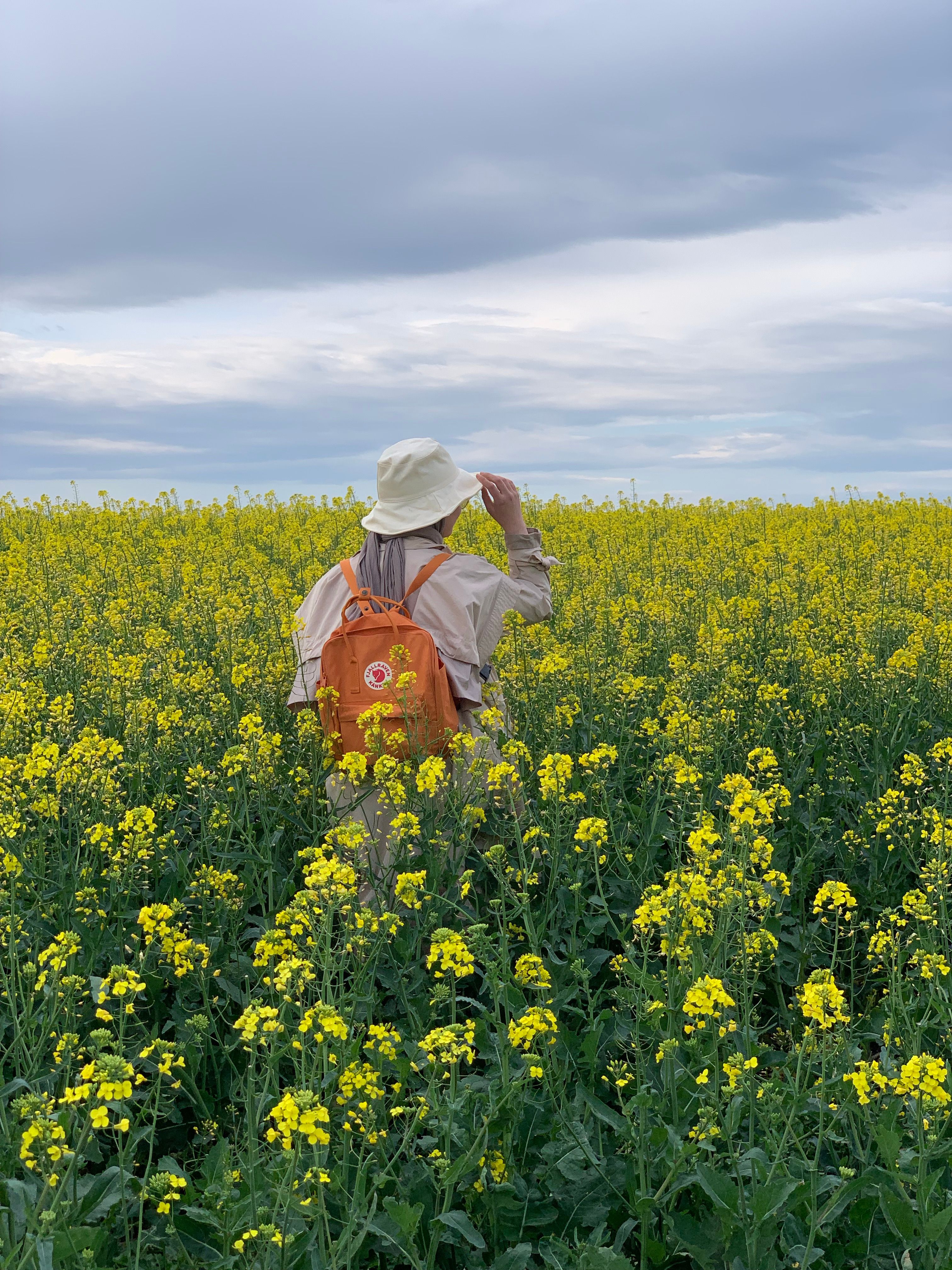Woman in Hat Standing on Rapeseed Field · Free Stock Photo