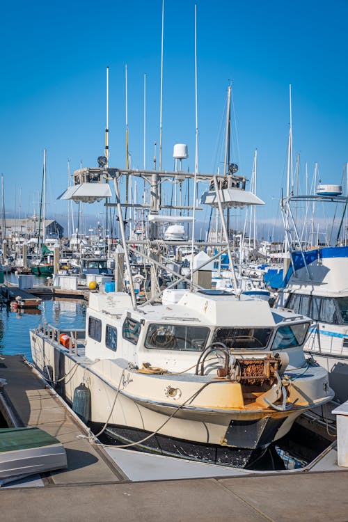 Ships Moored in Marina