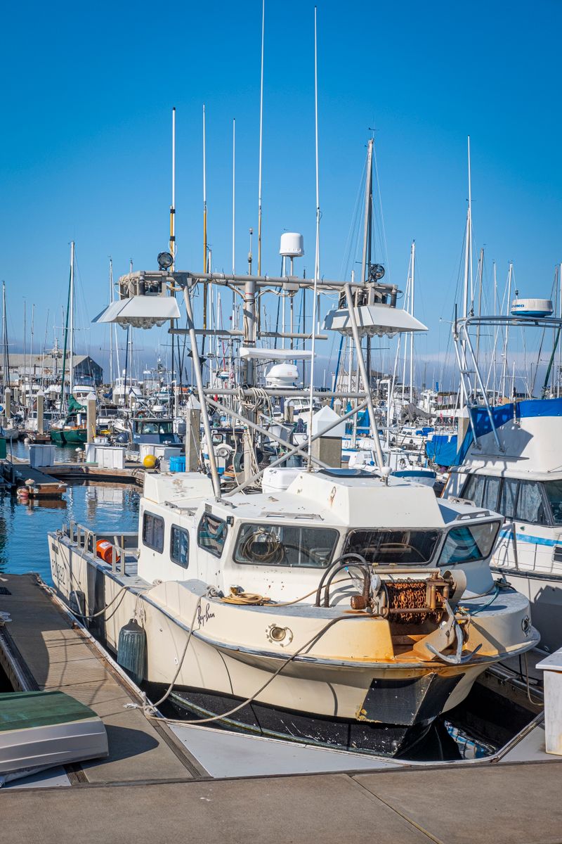 Placeholder: concept website mockup for a fishing charter