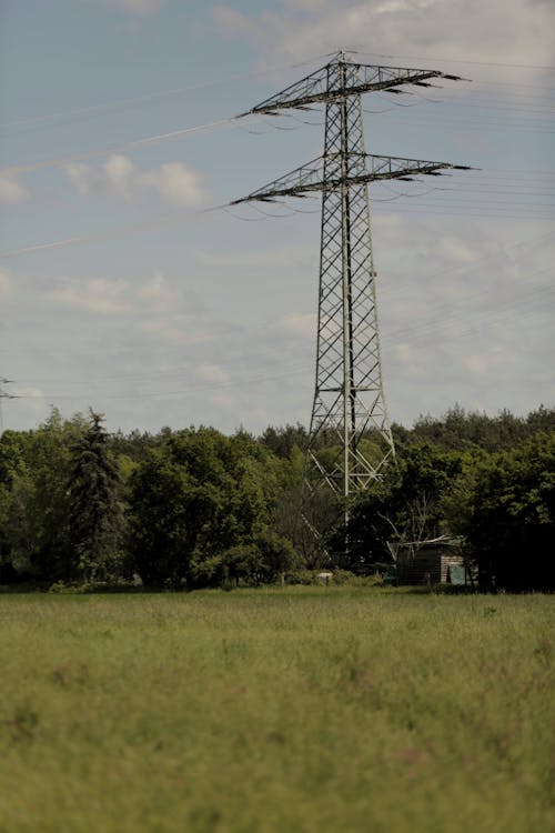 Photos gratuites de arbres, électricité, tir vertical