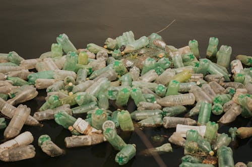 垃圾, 塑料瓶, 水 的 免費圖庫相片