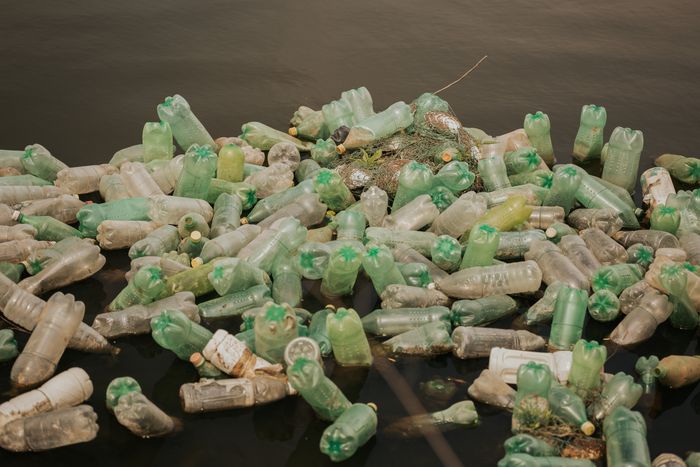 Ocean Plastics Leach Toxic Chemicals, Threatening Marine Life and Human Health