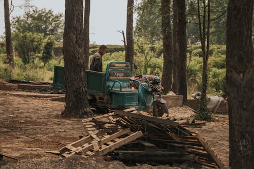 Timber Man Working in a Forest