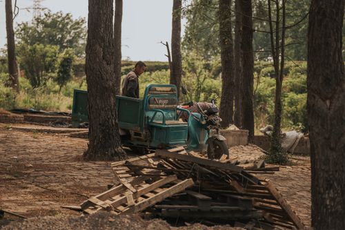 Free A man operates a motorized vehicle in a serene forest setting surrounded by trees and wood planks. Stock Photo