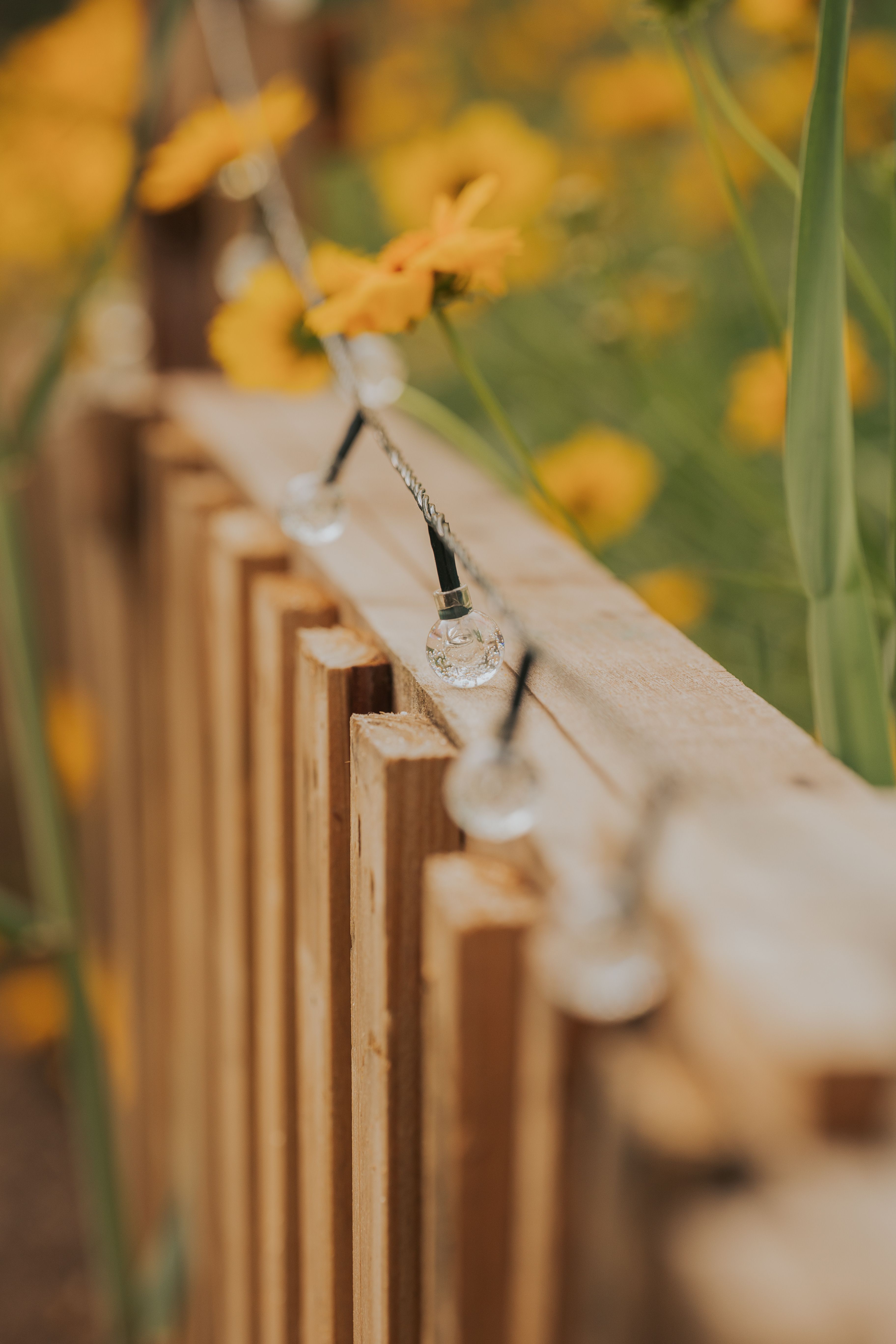 Side patio design with warm solar string lights strung along a wooden privacy fence at dusk