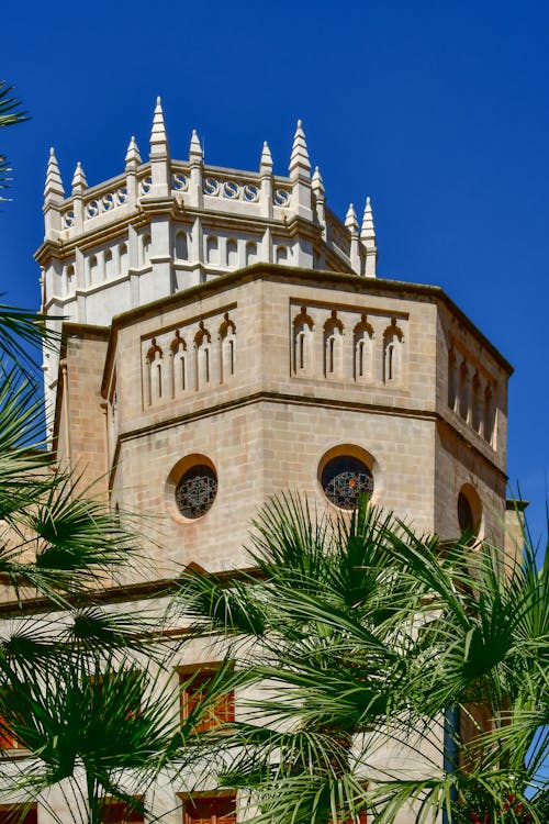 Museum among Palm Trees