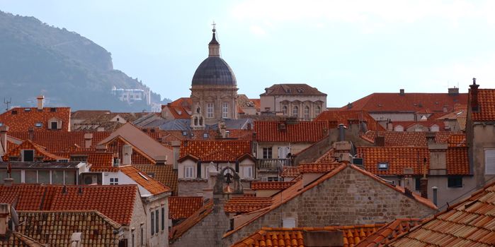 Konavle valley wine and olive oil — Dubrovnik