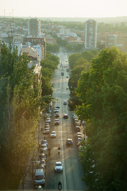 Foto d'estoc gratuïta de arbres, carretera, ciutat