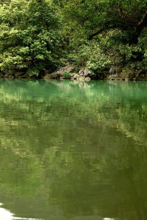 Free Green Stock Photo