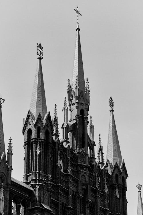 고딕 양식의 건축물, 교회, 그레이스케일의 무료 스톡 사진