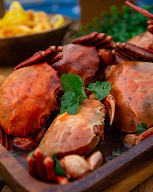 Free A mouth-watering platter of grilled crabs garnished with fresh herbs, showcasing vibrant flavors. Stock Photo