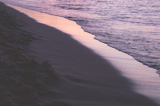 Free stock photo of beach, beautiful, black-and-white