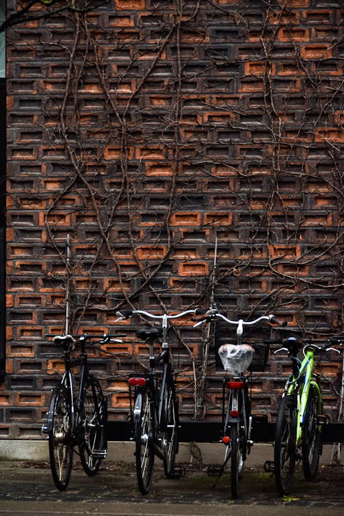 Imagine de stoc gratuită din bicicletă, cărămidă, drum