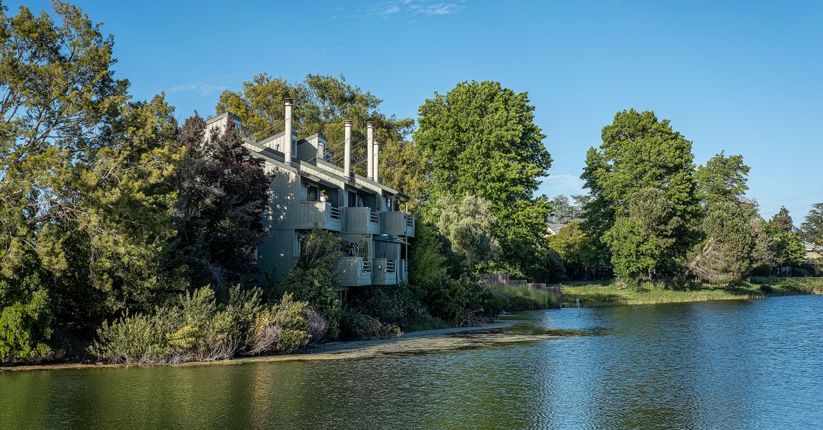A contemporary riverside building nestled among lush green trees, reflecting in the water.