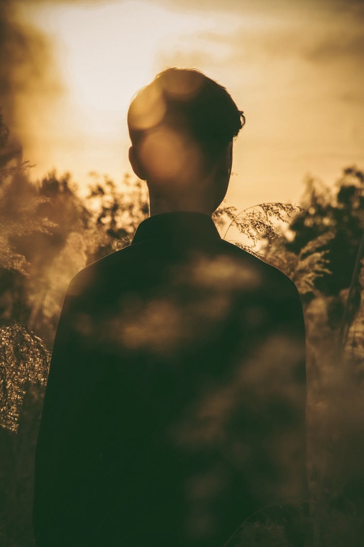 Person Silhouette At Dawn