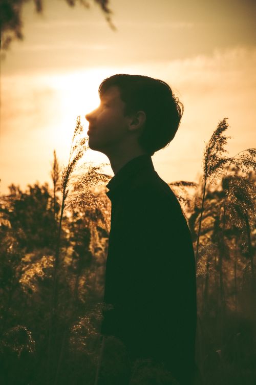 Free A man with short hair stands in silhouette among plants at sunset, creating a serene and introspective scene. Stock Photo