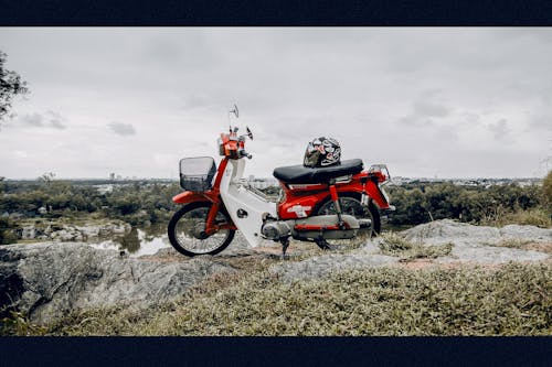 Fotobanka s bezplatnými fotkami na tému klasický bicykel, mláďa, retro