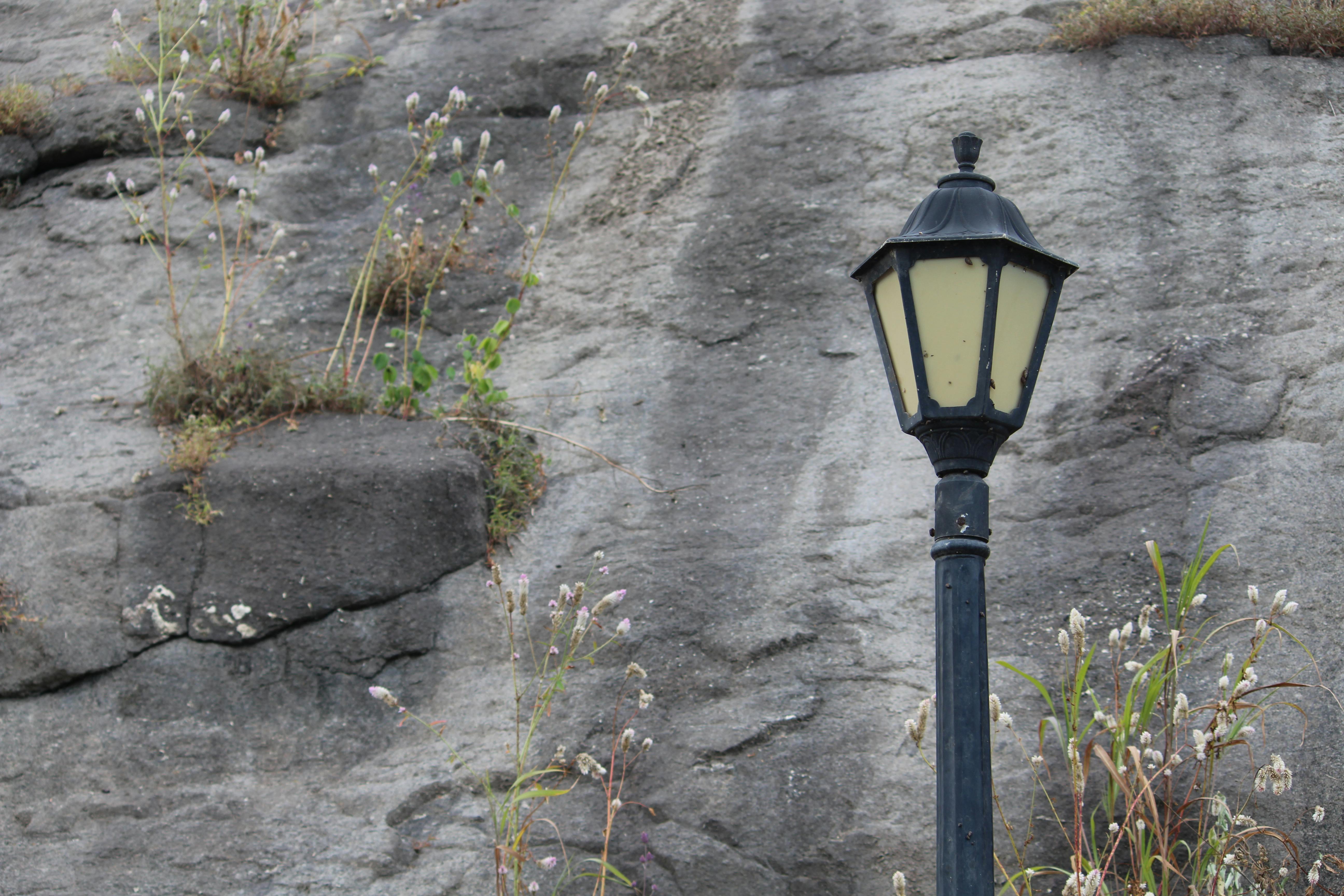 Uma mesa com xícaras de café e chá, simbolizando o prazer de ambas as bebidas.