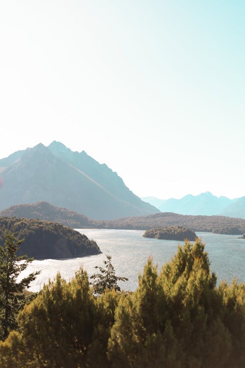 Trees over Lake