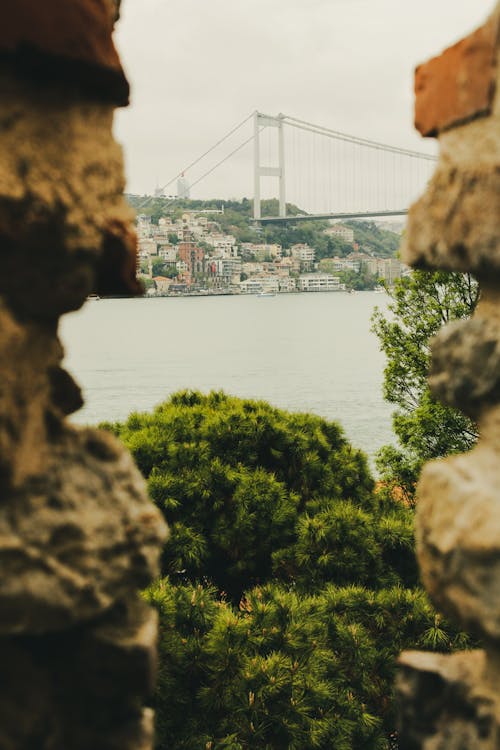 deniz, deniz kıyısı, dikey atış içeren Ücretsiz stok fotoğraf