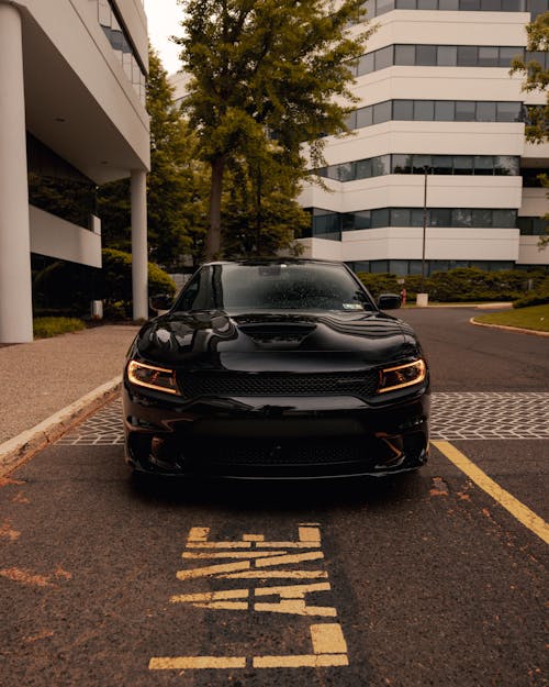 Základová fotografie zdarma na téma auto, černá, dodge charger