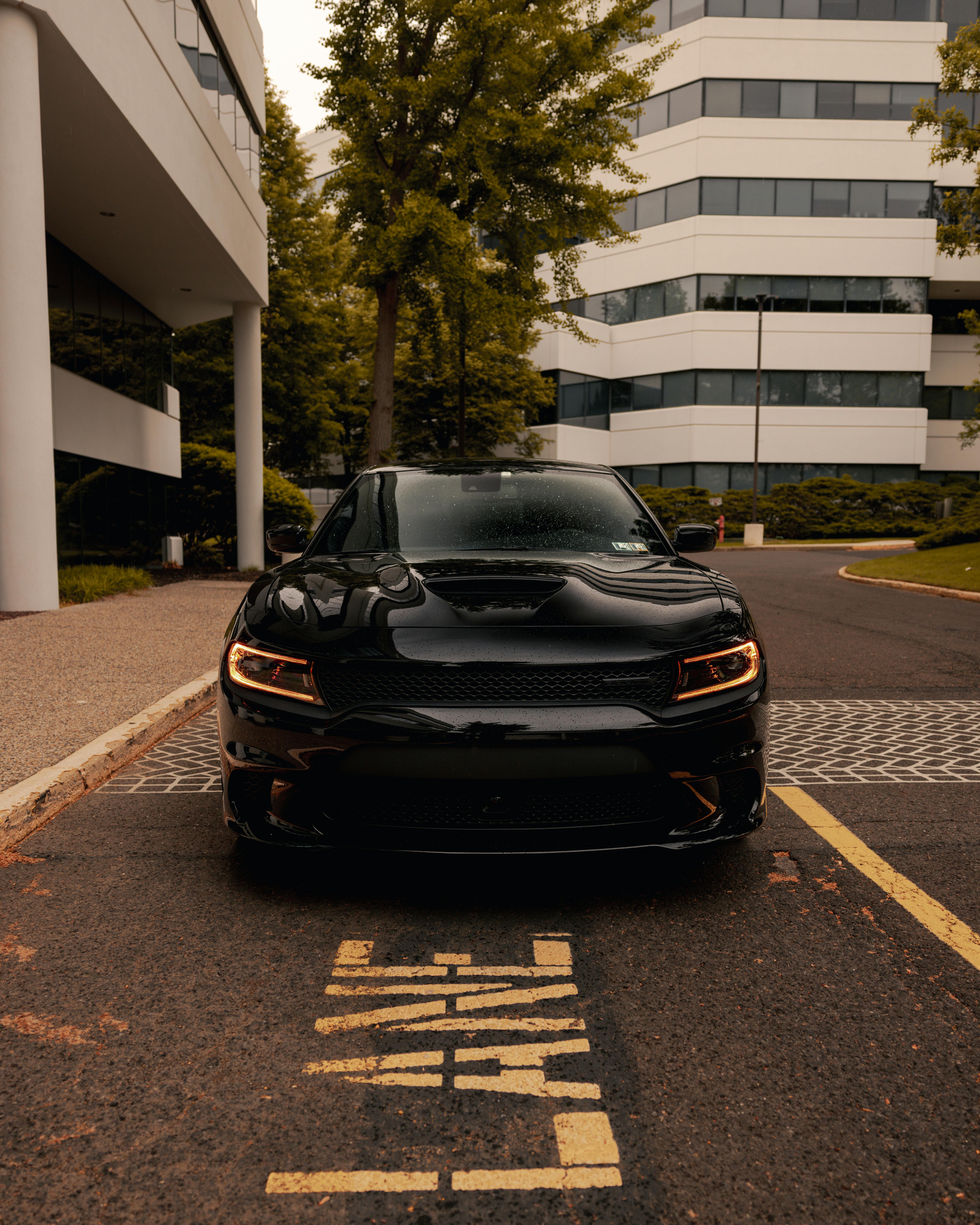 Dodge Charger Live Wallpaper  MoeWalls