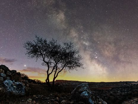 Stars on Clear Sky at Night