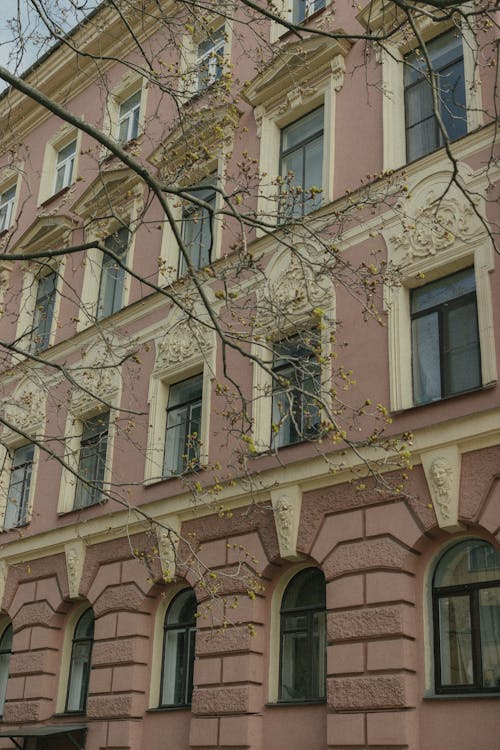 Darmowe zdjęcie z galerii z budynek, gałęzie, miejski
