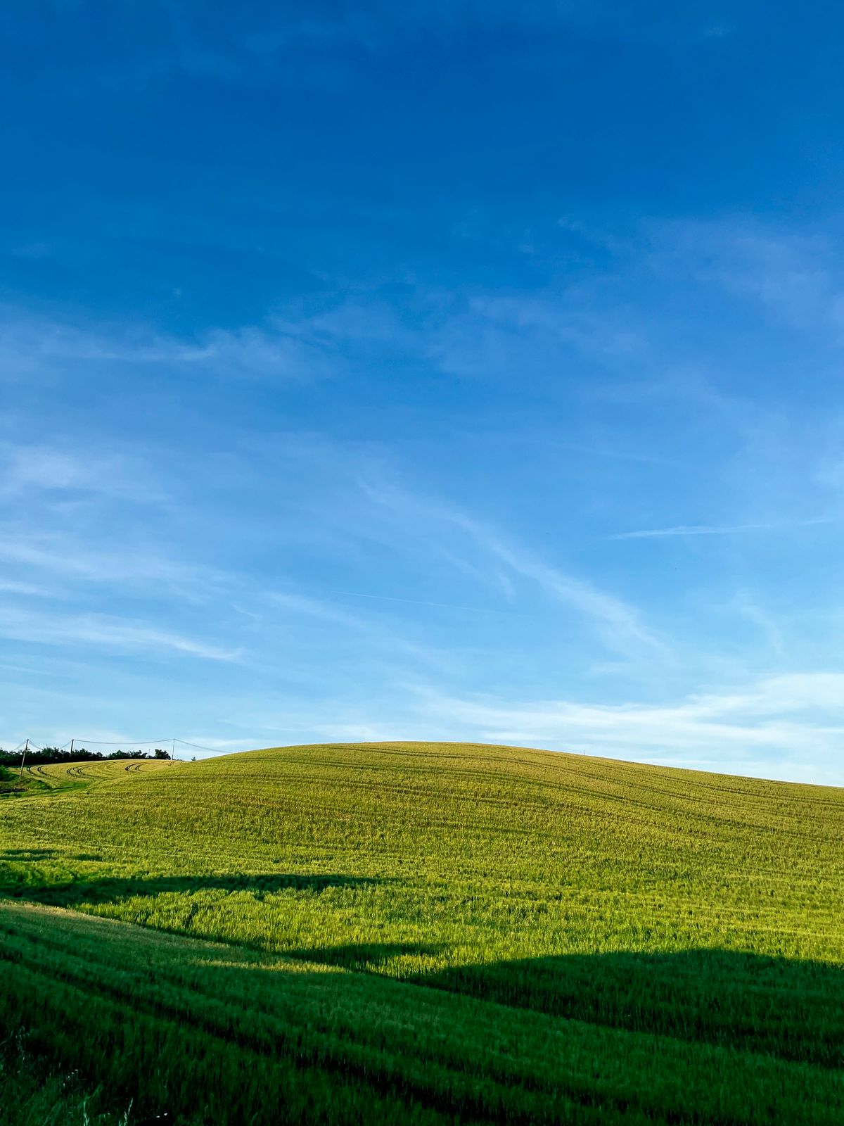 Green Grass Field Under Blue Sky · Free Stock Photo