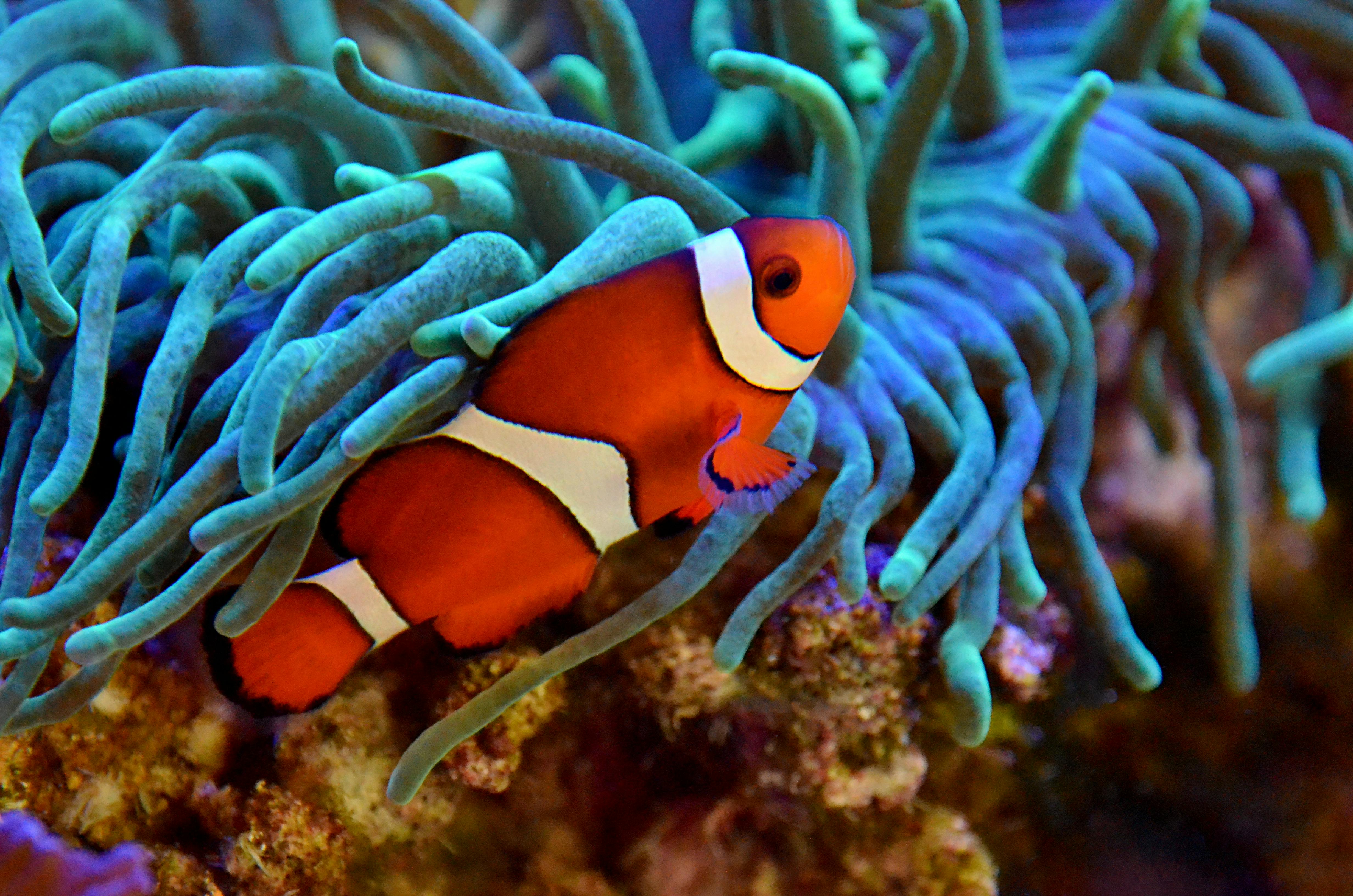 شباب يستمتعون بقيادة كواد بايك أبوظبي وسط الكثبان الرملية الذهبية