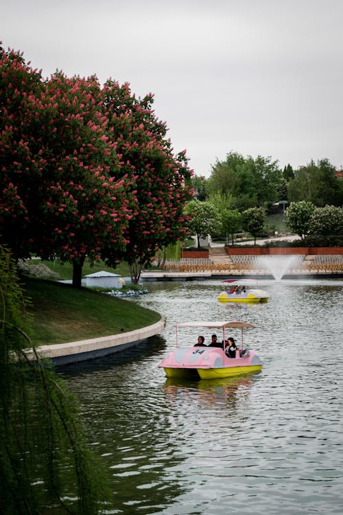 公園, 噴泉, 垂直拍攝 的 免費圖庫相片