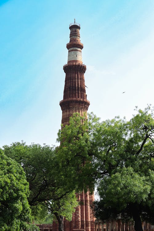 Qutab Minar behind Trees