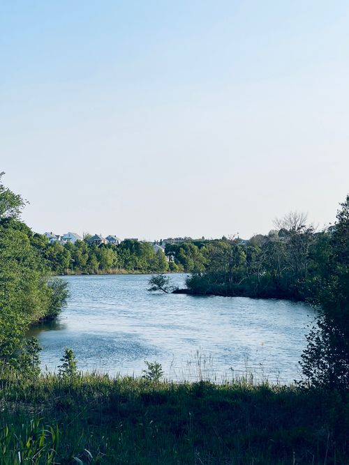 Free Peaceful river scene with lush greenery and clear blue sky on a summer day. Stock Photo