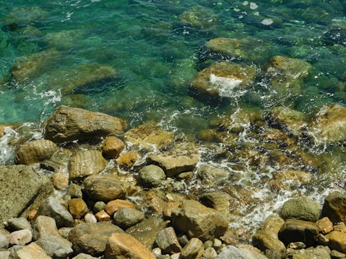 돌, 물, 바다의 무료 스톡 사진