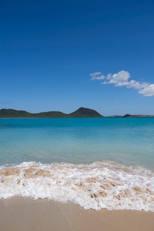 Clear Sky over Sea Shore