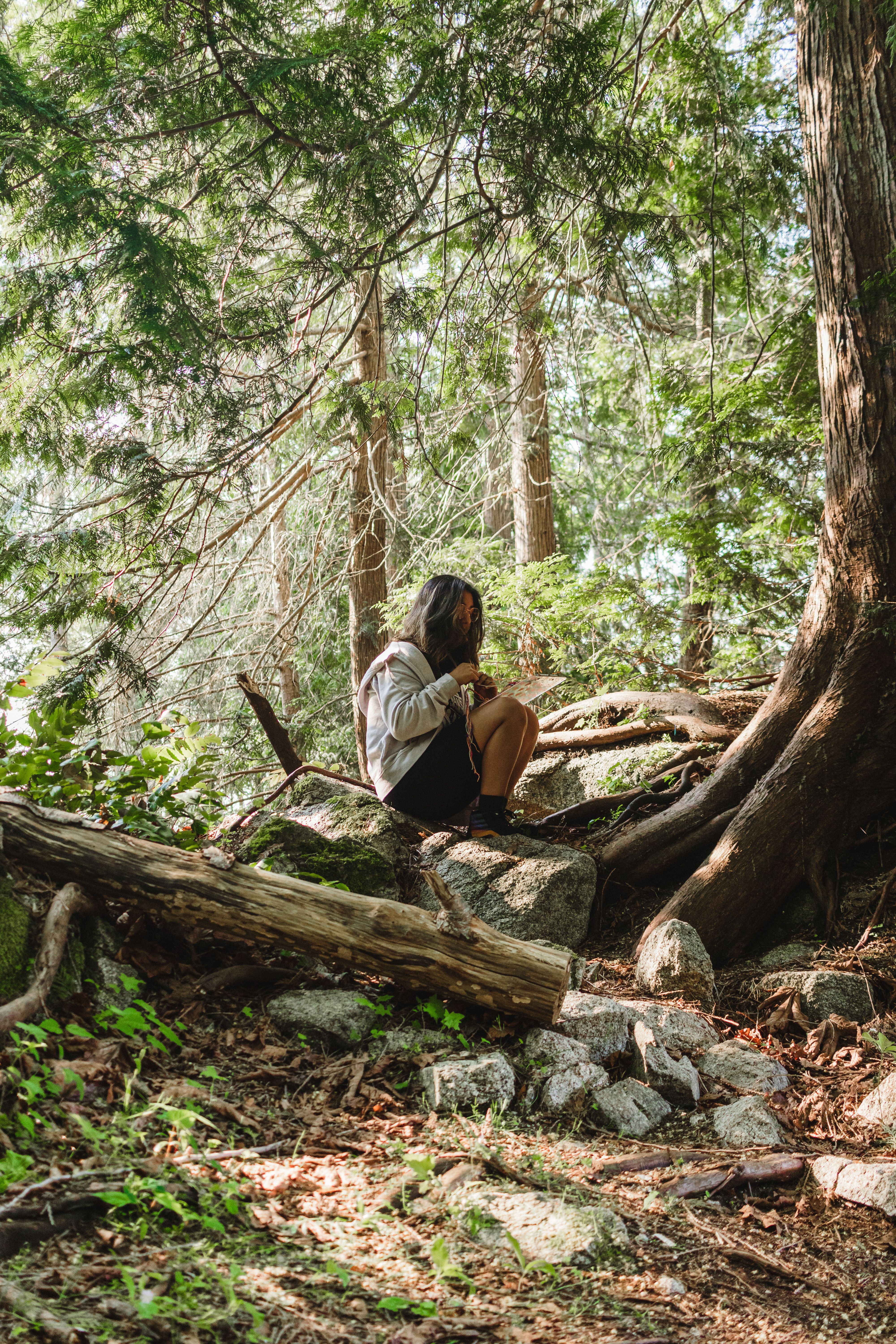 Man Sitting on the Rocks in the Forest · Free Stock Photo