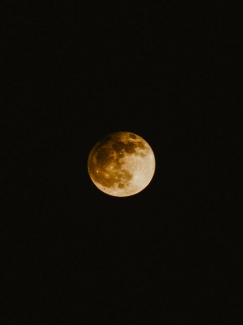 Free stock photo of blood moon, full moon, moon Stock Photo
