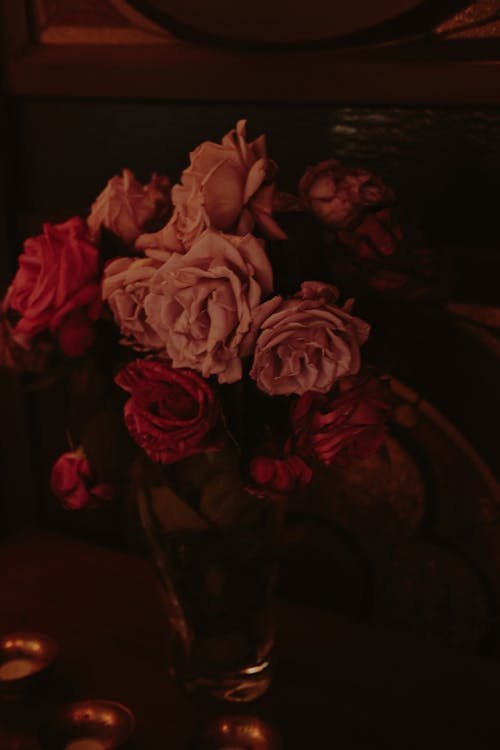 Immagine gratuita di bouquet, fiori rossi, natura morta