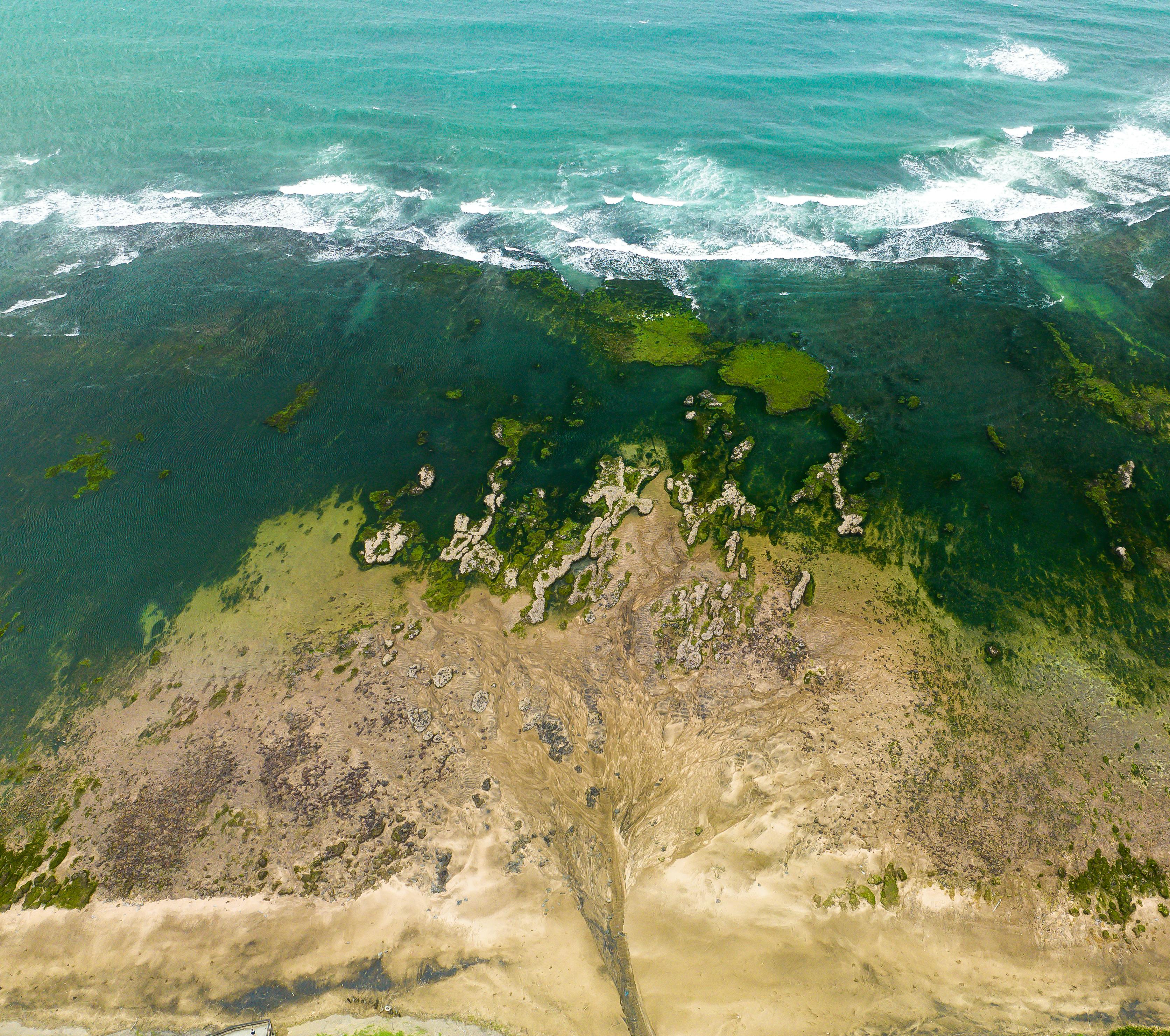 Soil and Sand on Sea Shore · Free Stock Photo